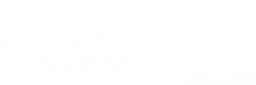 Entelect