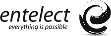 Entelect